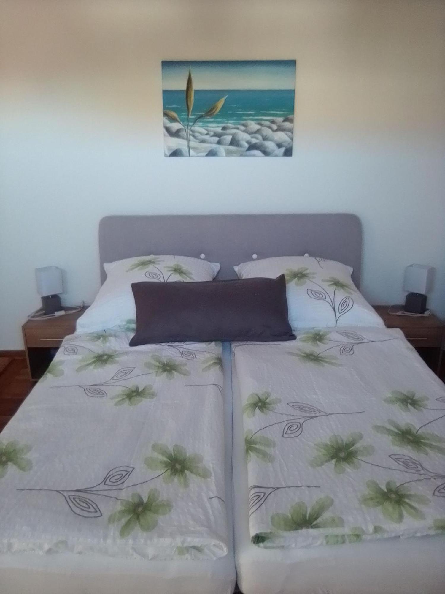 Ferienwohnung Strassburg 萨斯尼茨 外观 照片